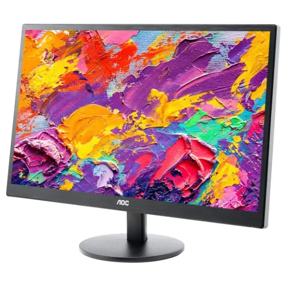 AOC E970SWHEN 18.5 inch HD LED Backlit Computer Monitor - PakByte Computers 