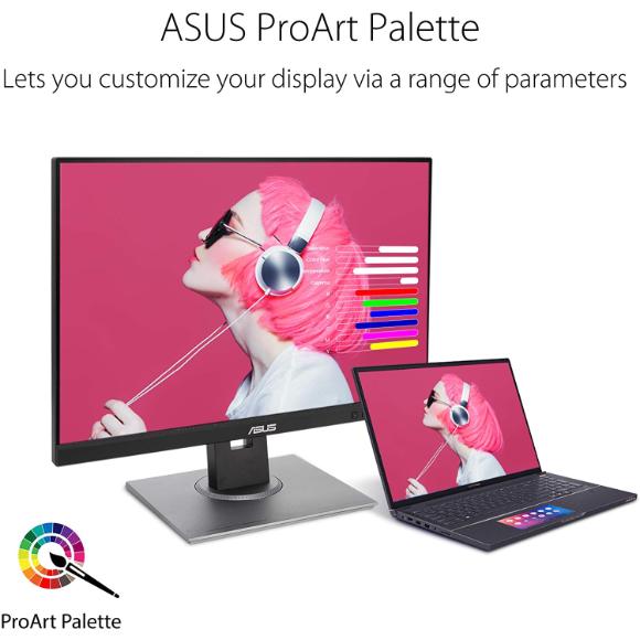 ASUS ProArt Display PA248QV 24.1” WUXGA (1920 x 1200) 16:10 Monitor - PakByte Computers 