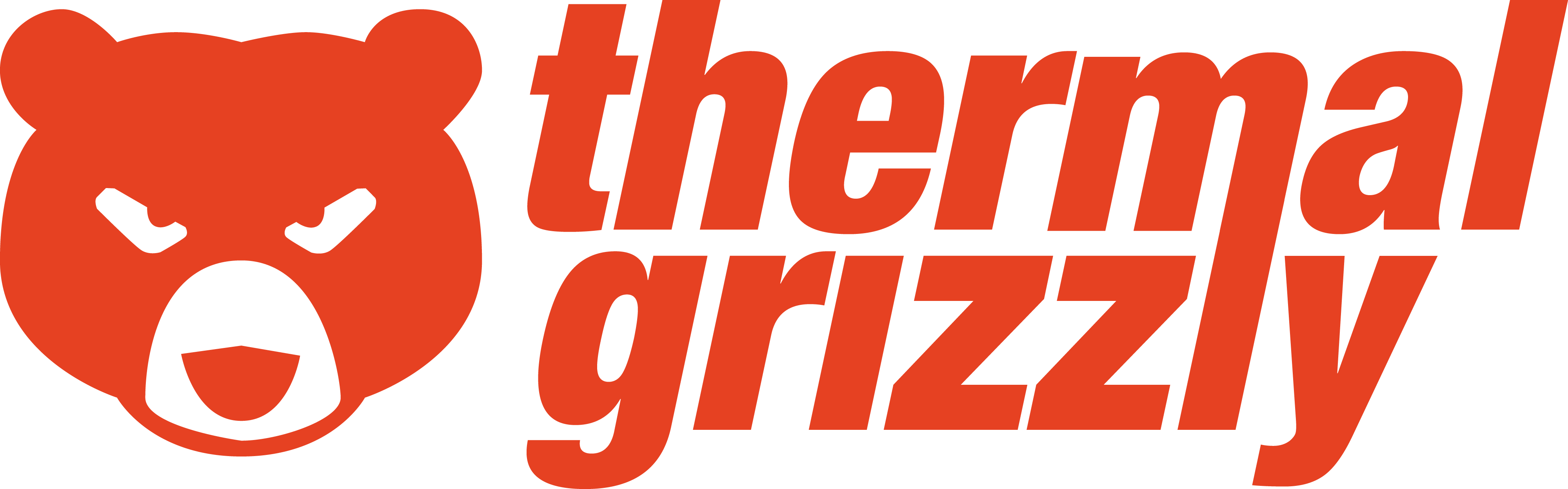 Thermal Grizzly logo featuring a stylized bear design, representing high-performance thermal solutions for electronics.